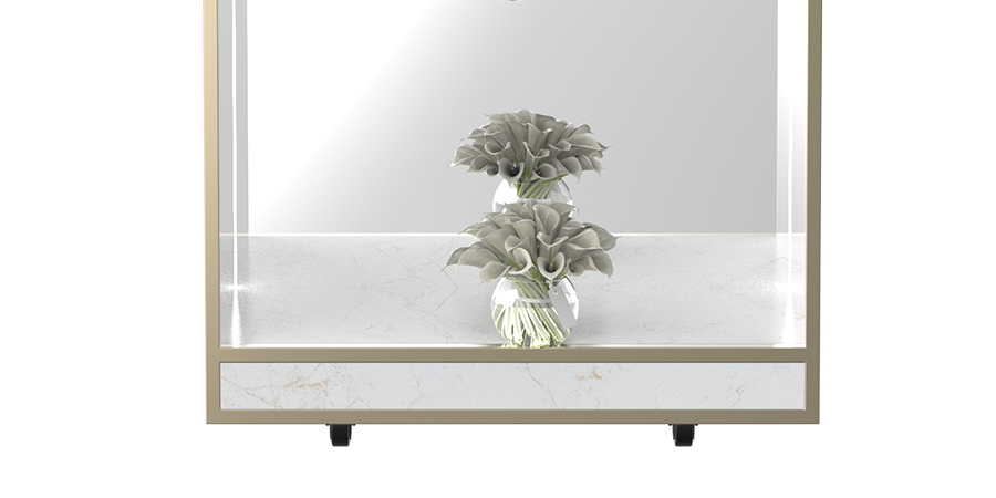 Mirror reflection design with LED lighting system